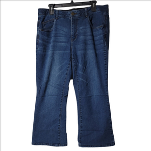 DEMOCRACY "AB SOLUTIONS" Cropped Length Dark Wash Jeans 14W